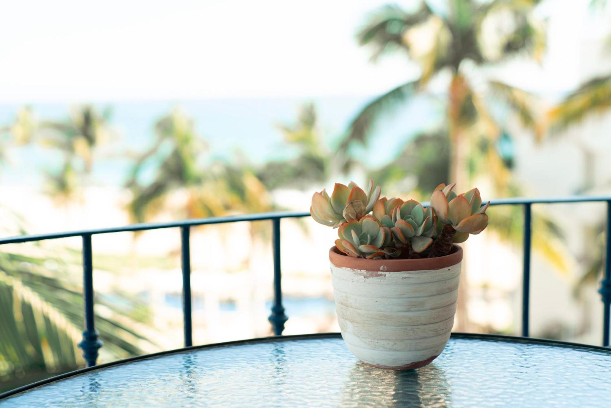 Beach Front Mykonos San José del Cabo 외부 사진